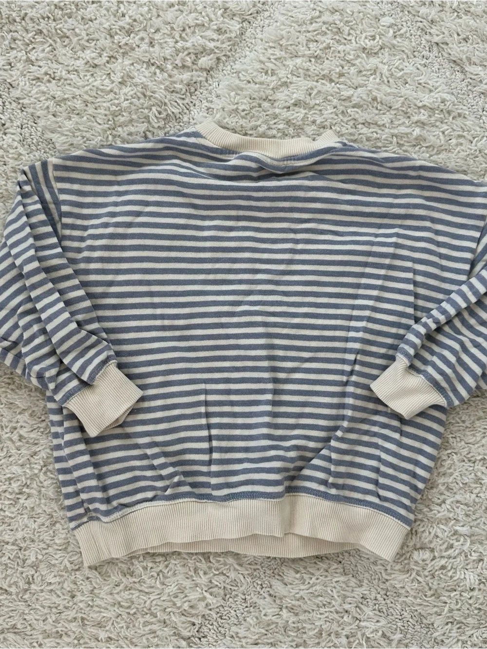 Zara Striped Blue Sweatshirt